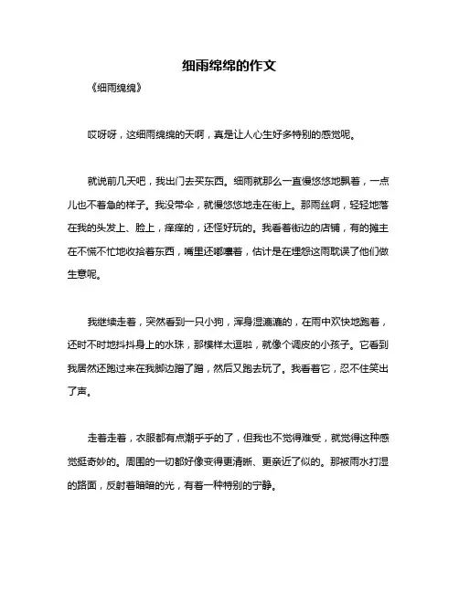 细雨绵绵的作文