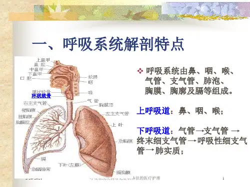 呼吸系统疾病常见症状体征的医疗护理课件