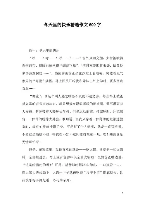 冬天里的快乐精选作文600字