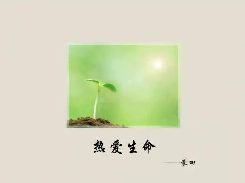 初中语文2018年人教版九年级下册PPT课件8 热爱生命