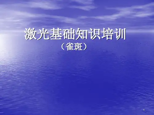 (推荐课件)雀斑培训PPT幻灯片