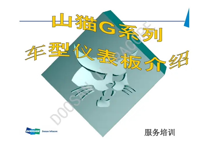 G系列山猫滑移仪表板说明
