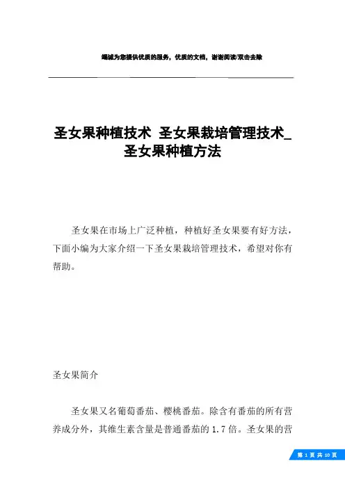 圣女果种植技术 圣女果栽培管理技术_圣女果种植方法