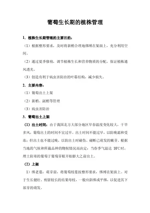葡萄生长期的植株管理