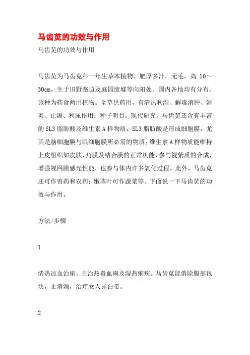 马齿苋的功效与作用