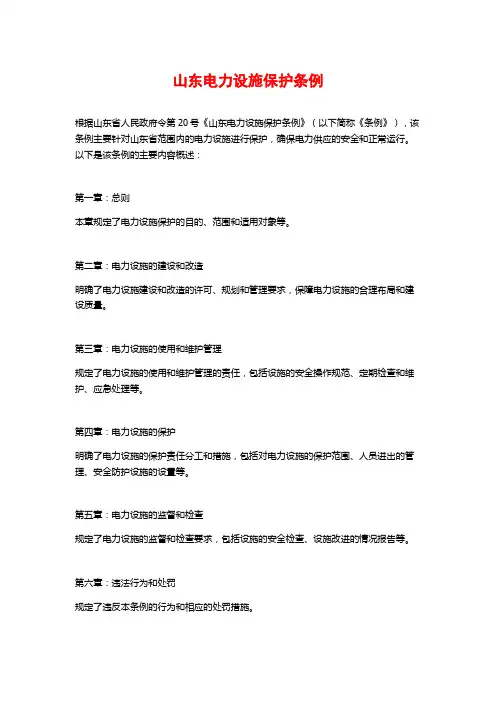 山东电力设施保护条例