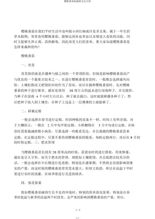 樱桃番茄的栽种方法介绍
