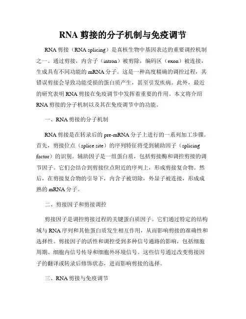 RNA剪接的分子机制与免疫调节