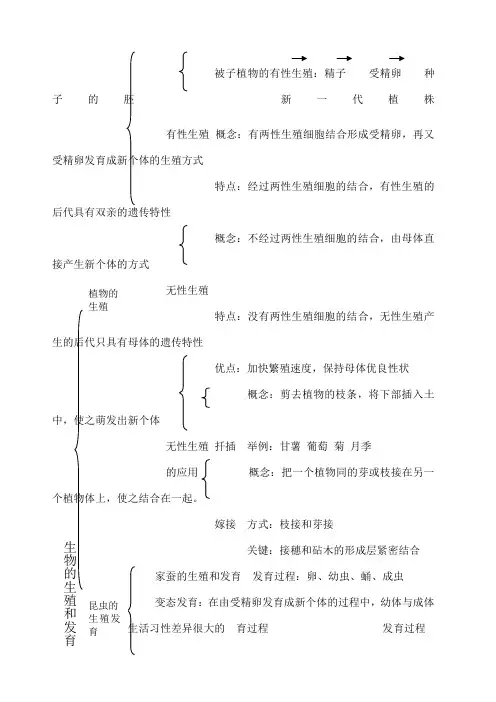 八年级生物知识思维导图 