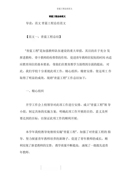 青蓝工程总结范文