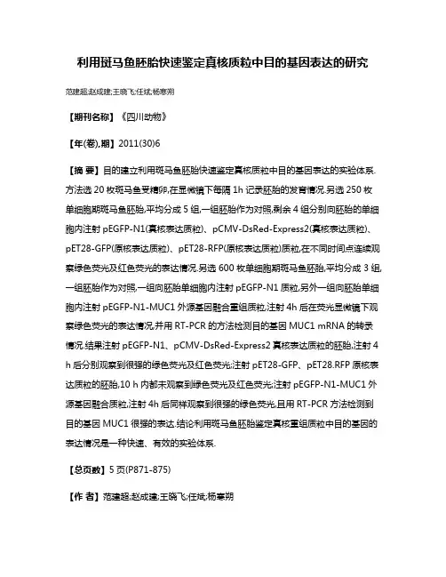 利用斑马鱼胚胎快速鉴定真核质粒中目的基因表达的研究