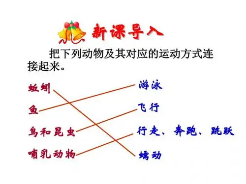 八年级生物上册 第十五章 第一节 动物的运动课件 北师大版