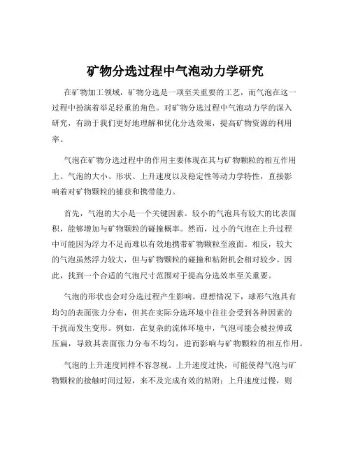 矿物分选过程中气泡动力学研究