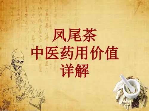 中药学_凤尾茶_药材详解课件模板
