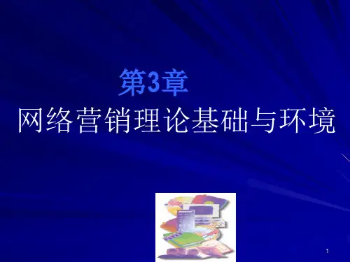 第3章网络营销理论基础与环境PPT课件