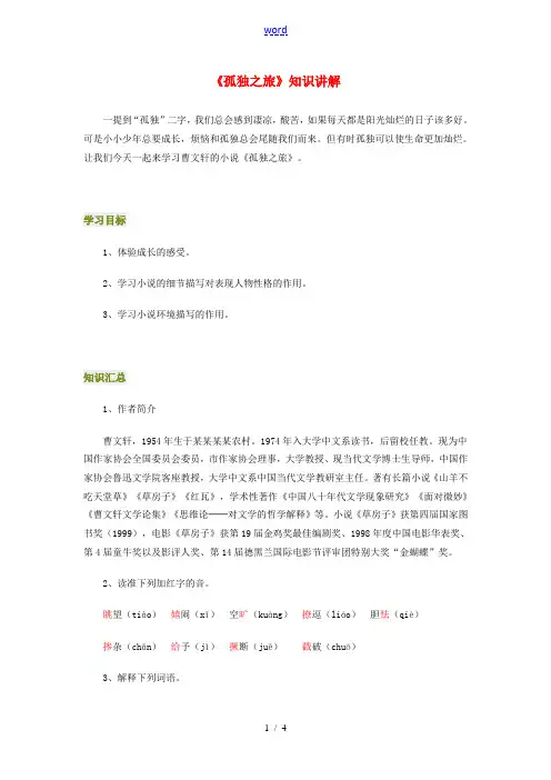 九年级语文《孤独之旅》知识讲解人教版新课标