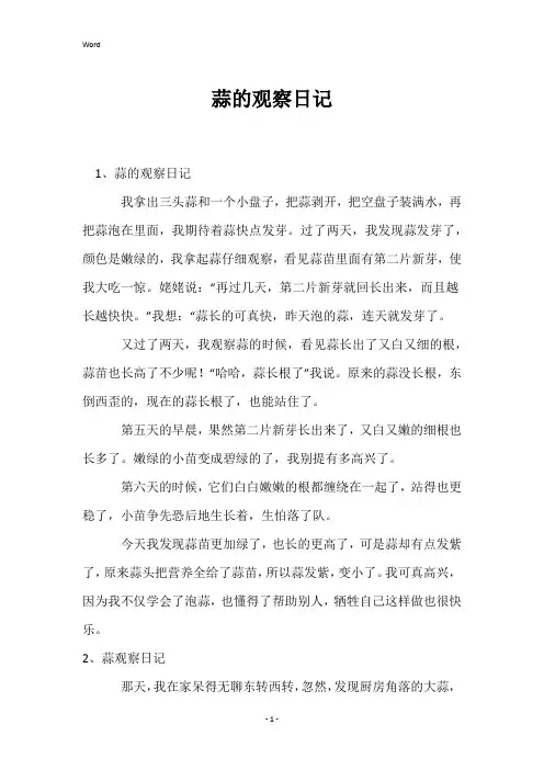 蒜的观察日记