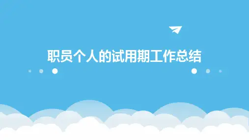 职员个人的试用期工作总结PPT
