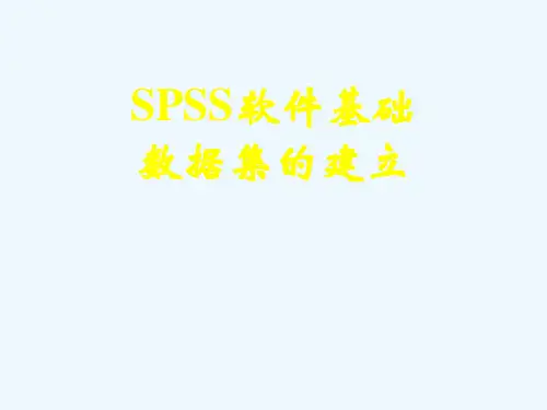 SPSS基础、数据集的建立(69页)