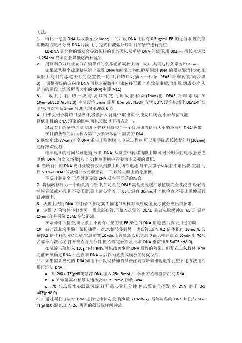 DEAE纤维素膜法凝胶回收DNA