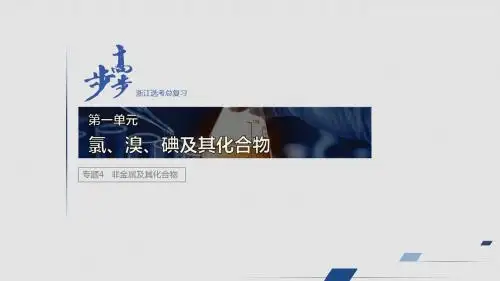步步高高2020届高2017级高三一轮复习课件配套学案专题4第一单元