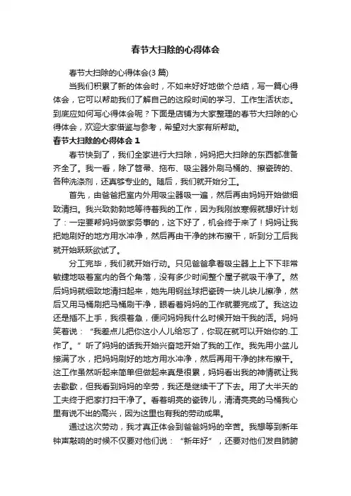 春节大扫除的心得体会