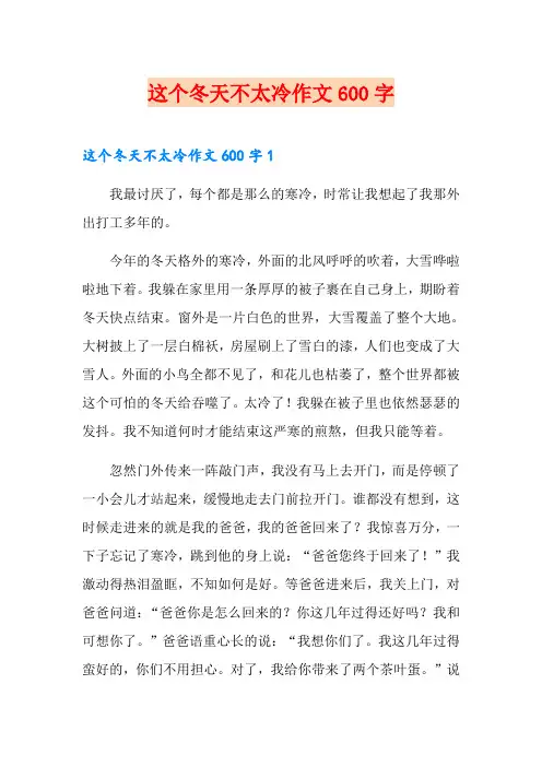 这个冬天不太冷作文600字