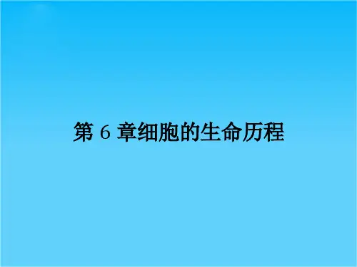 人教版高中生物必修一课件 第六章细胞的生命历程 6.1  细胞的增殖