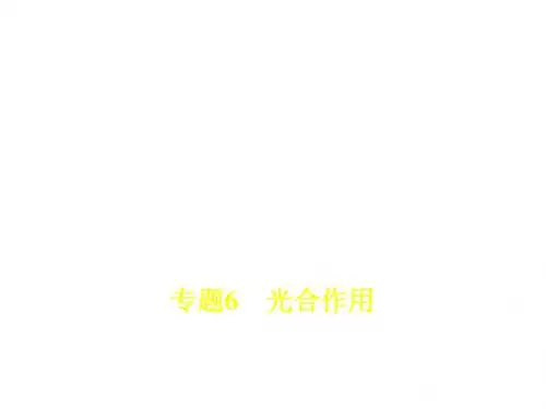 2018年高考生物(课标Ⅰ专用)复习专题测试：专题6 光合作用 (共122张PPT)