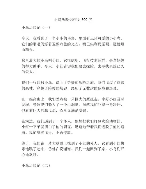 小鸟历险记作文300字