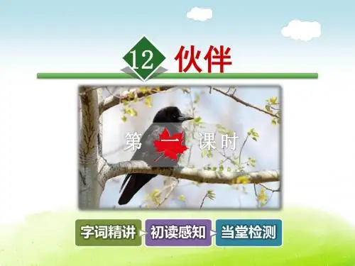 伙伴PPT课件
