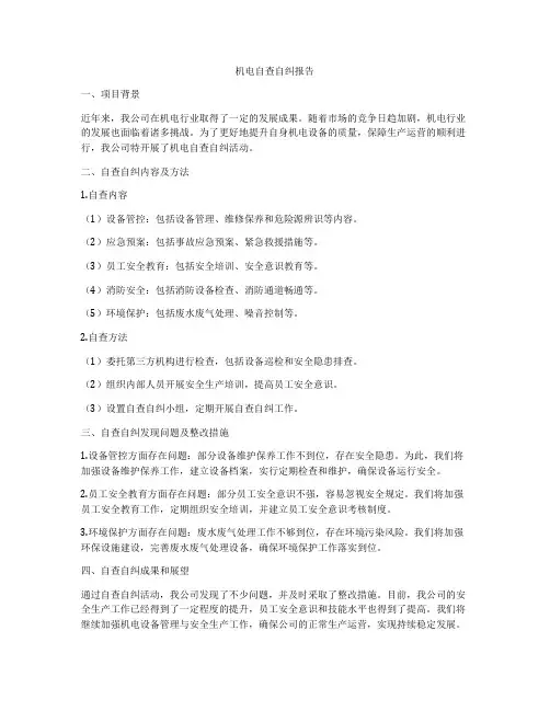 机电自查自纠报告
