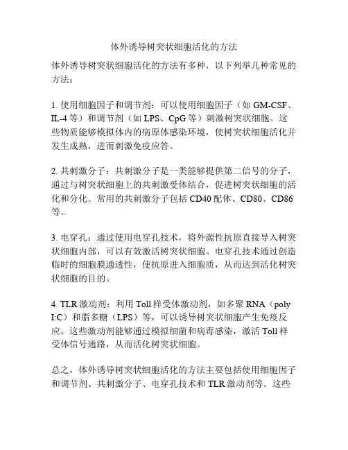 体外诱导树突状细胞活化的方法