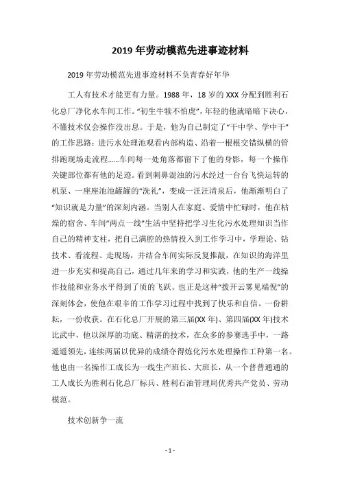2019年劳动模范先进事迹材料