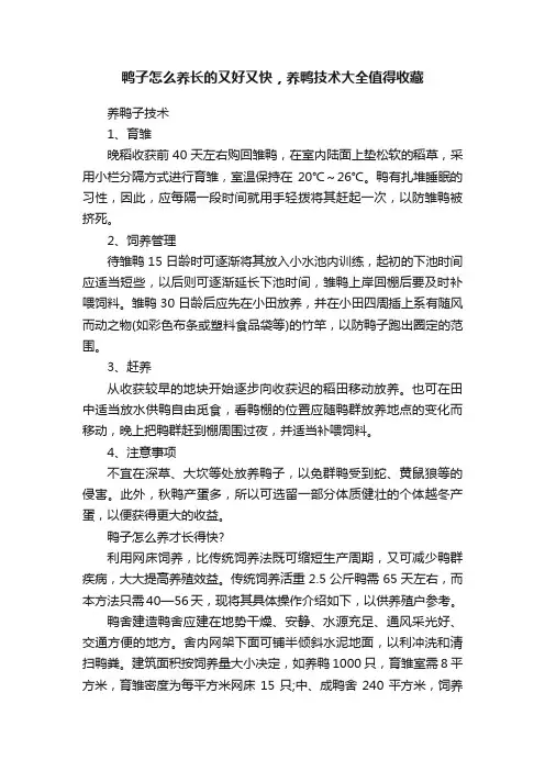 鸭子怎么养长的又好又快，养鸭技术大全值得收藏