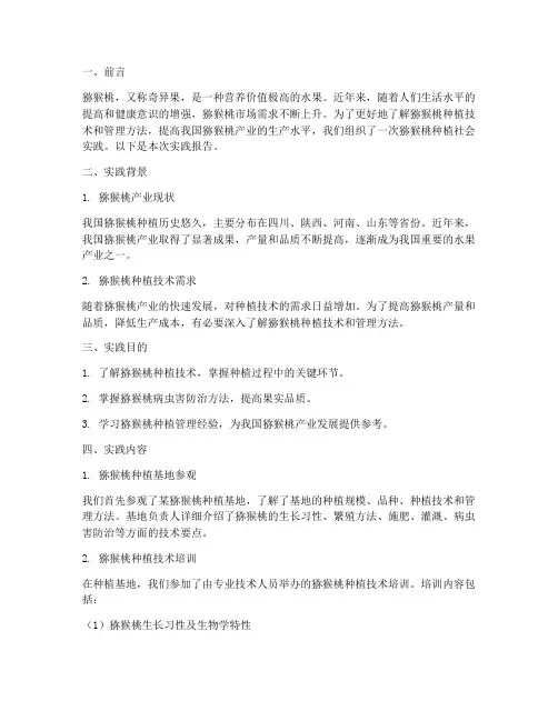 猕猴桃种植社会实践报告