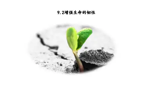 部编版道德与法治初一上册9.2增强生命的韧性课件