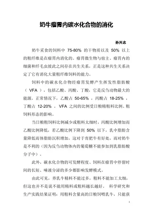 奶牛瘤胃内碳水化合物的消化
