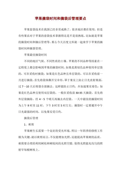 苹果摘袋时间和摘袋后管理要点