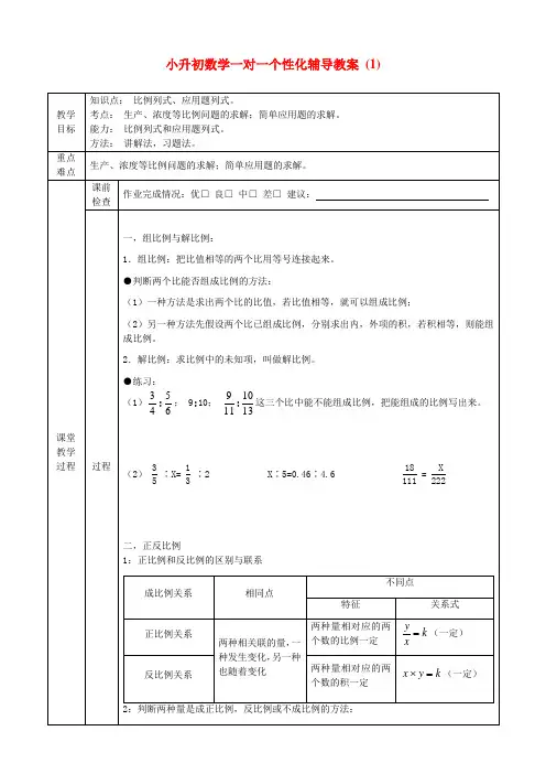 小升初数学一对一个性化辅导教案 (1)