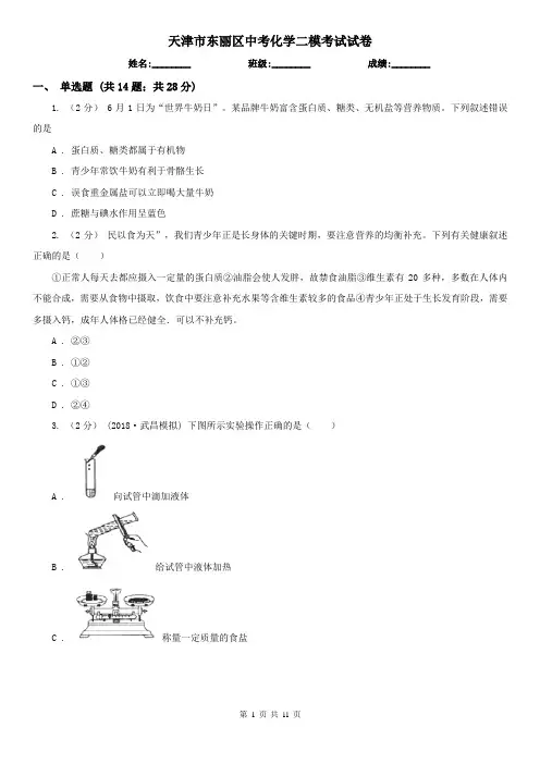 天津市东丽区中考化学二模考试试卷