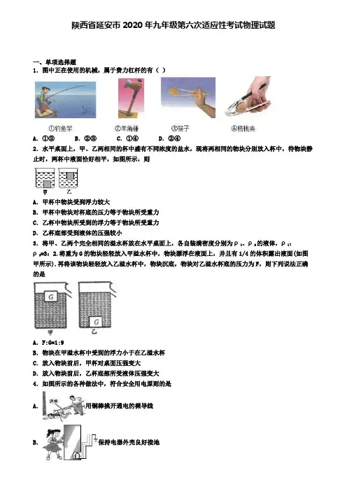 陕西省延安市2020年九年级第六次适应性考试物理试题