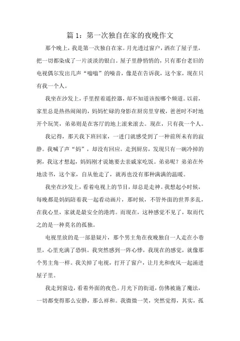 第一次独自在家的夜晚作文精选6篇