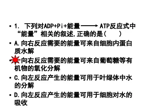 细胞呼吸与光合作用精选图像题练习