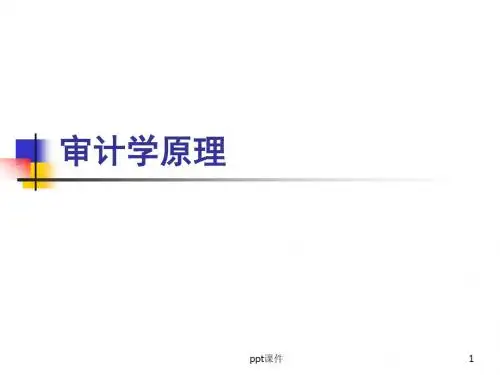 审计学原理  ppt课件