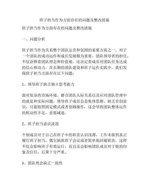 班子担当作为方面存在的问题及整改措施