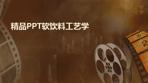精品PPT软饮料工艺学