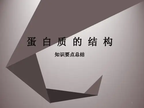 蛋白质的结构知识要点总结ppt课件