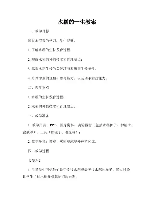 水稻的一生教案
