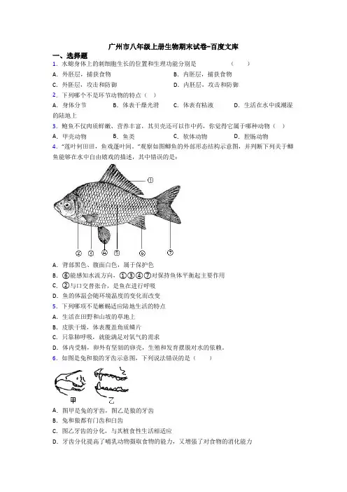 广州市八年级上册生物期末试卷-百度文库 2